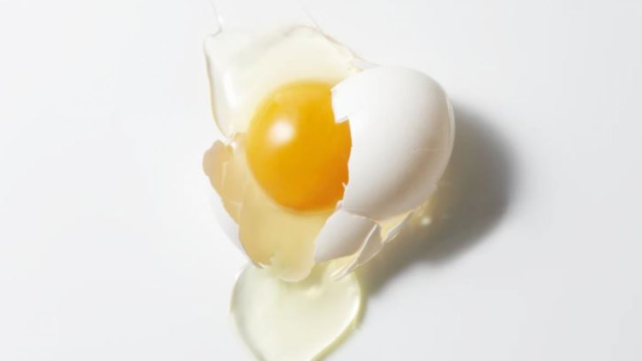 La membrana del huevo: un ingrediente natural con beneficios para las articulaciones