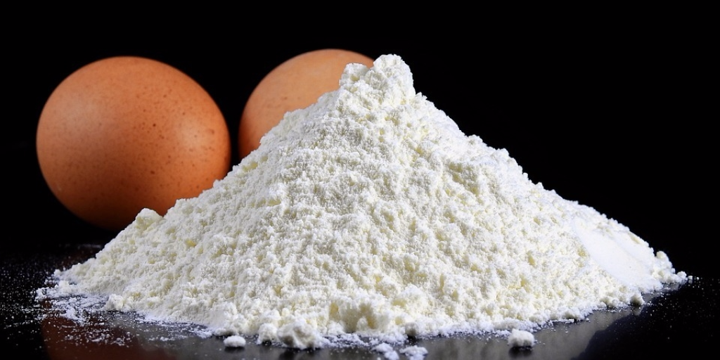 Egg-White-Protein-Powder-for-Muscle-Growth-1