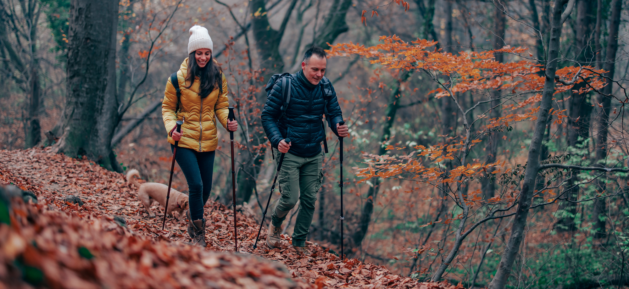 Flexibilidad y bienestar articular